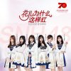 Lirik SNH48 – Why are flowers so red (花儿为什么这样红)