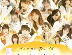 Lirik Lagu AKB48 Team SH “Oh My Pumpkin!” Chinese Version