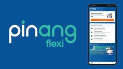 Tutorial Lengkap Ajukan Pinjaman di Pinang Flexi