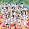 Lirik Lagu AKB48 Team TP / TPE48 – Hashire! Penguin (奔跑吧！企鵝)