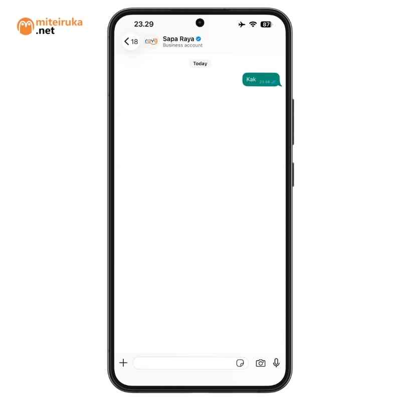 CS Whatsapp Bank Raya