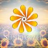 Lirik Lagu FANTASTICS – Sunflower