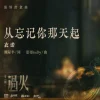 Lirik Lagu Yi Nuo – Cong Wangji Ni Neitian Qi (从忘记你那天起) Ost. Overdo